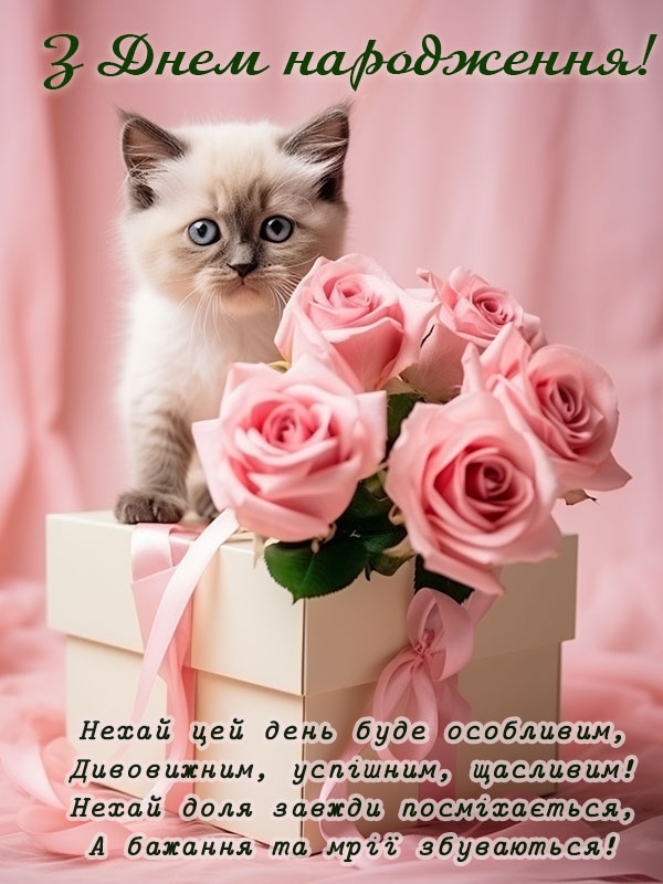 ніжне привітання з днем народження невістці картинка з котиком