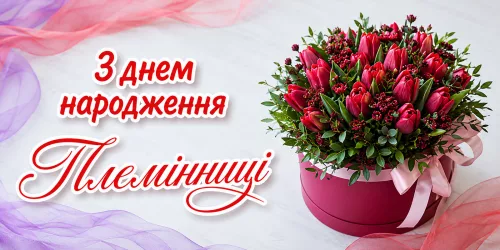 Привітання з днем народження племінниці