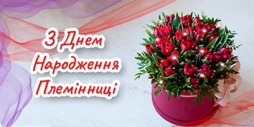 Привітання з Днем Народження Племінниці